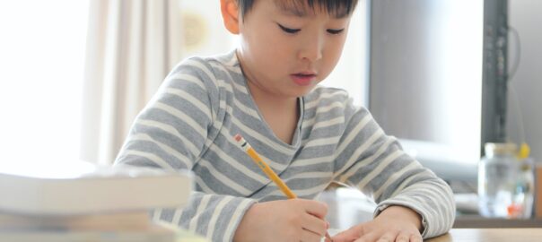 Making Education Inclusive: Strategies for Overcoming Accessibility Challenges